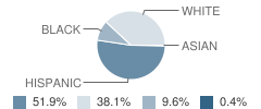 Newgulf Elementary School Student Race Distribution