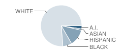 Rather Junior High School Student Race Distribution