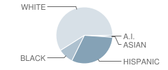 Elisabet Ney Elementary School Student Race Distribution