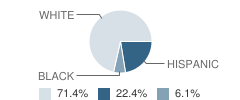 Brookesmith High School Student Race Distribution