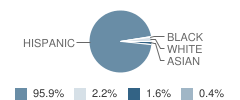 Vela Middle School Student Race Distribution