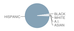 Pace High School Student Race Distribution