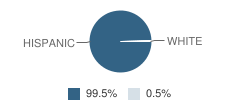 Skinner Elementary School Student Race Distribution