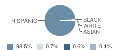 Benavides Elementary School Student Race Distribution