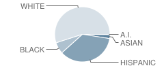 Johnson Elementary School Student Race Distribution