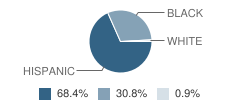 Neal Elementary School Student Race Distribution