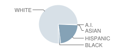 Burnet Middle School Student Race Distribution