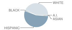 Magee Elementary School Student Race Distribution