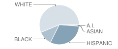 Caldwell Intermediate School Student Race Distribution