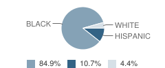 W D Spigner Elementary School Student Race Distribution
