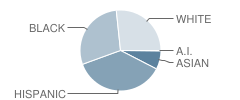 Mckamy Elementary School Student Race Distribution