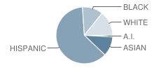 Davis Elementary School Student Race Distribution