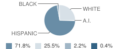 A V Cato Elementary School Student Race Distribution