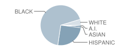 High Pointe Elementary School Student Race Distribution