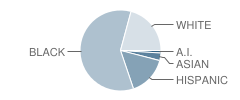 Lakeridge Elementary School Student Race Distribution