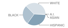 Center Intermediate School Student Race Distribution