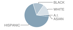 Alice Johnson Junior High School Student Race Distribution