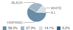 Jackson Elementary School Student Race Distribution