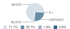 Chico Elementary School Student Race Distribution