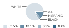 Cisco High School Student Race Distribution