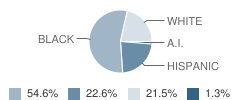 Clarksville Elementary School Student Race Distribution