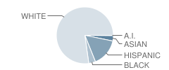 Gerard Elementary School Student Race Distribution