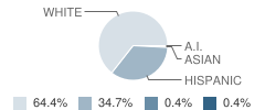 Coahoma High School Student Race Distribution