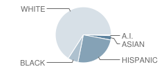 Smithson Valley Middle School Student Race Distribution