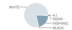 Mountain Valley School Student Race Distribution