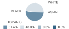 Comfort High School Student Race Distribution