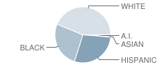 Connally Primary School Student Race Distribution