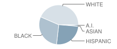 Connally Elementary School Student Race Distribution