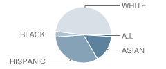 Wilson Elementary School Student Race Distribution