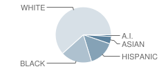 Martin Walker Elementary School Student Race Distribution