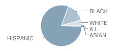 Evans Special Emphasis School Student Race Distribution