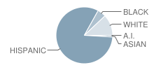 Gibson Elementary School Student Race Distribution