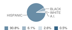 Lamar Elementary School Student Race Distribution