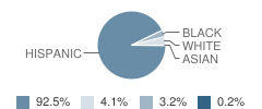 Lexington Elementary School Student Race Distribution