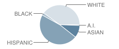 Windsor Park G / T School Student Race Distribution