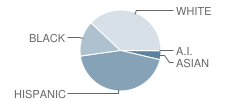 Jose Antonio Navarro Elementary School Student Race Distribution