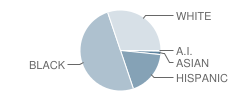 Crockett High School Student Race Distribution