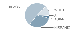 Crowley Middle School Student Race Distribution