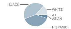 Meadowcreek Elementary School Student Race Distribution