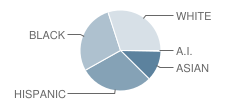 T S Hancock Elementary School Student Race Distribution