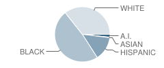 Daingerfield High School Student Race Distribution