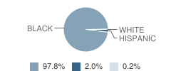 Charles Rice Elementary School Student Race Distribution