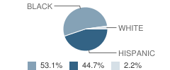 Whitney M Young Elementary School Student Race Distribution