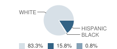 Danbury Middle School Student Race Distribution