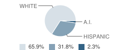 Darrouzett Elementary School Student Race Distribution