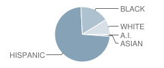 Del Valle High School Student Race Distribution